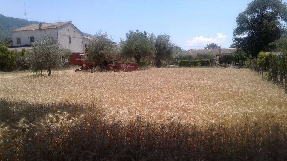 Villa Agriturismo Tre Santi à Padula Extérieur photo